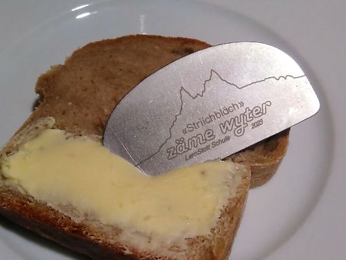 Striichbläch